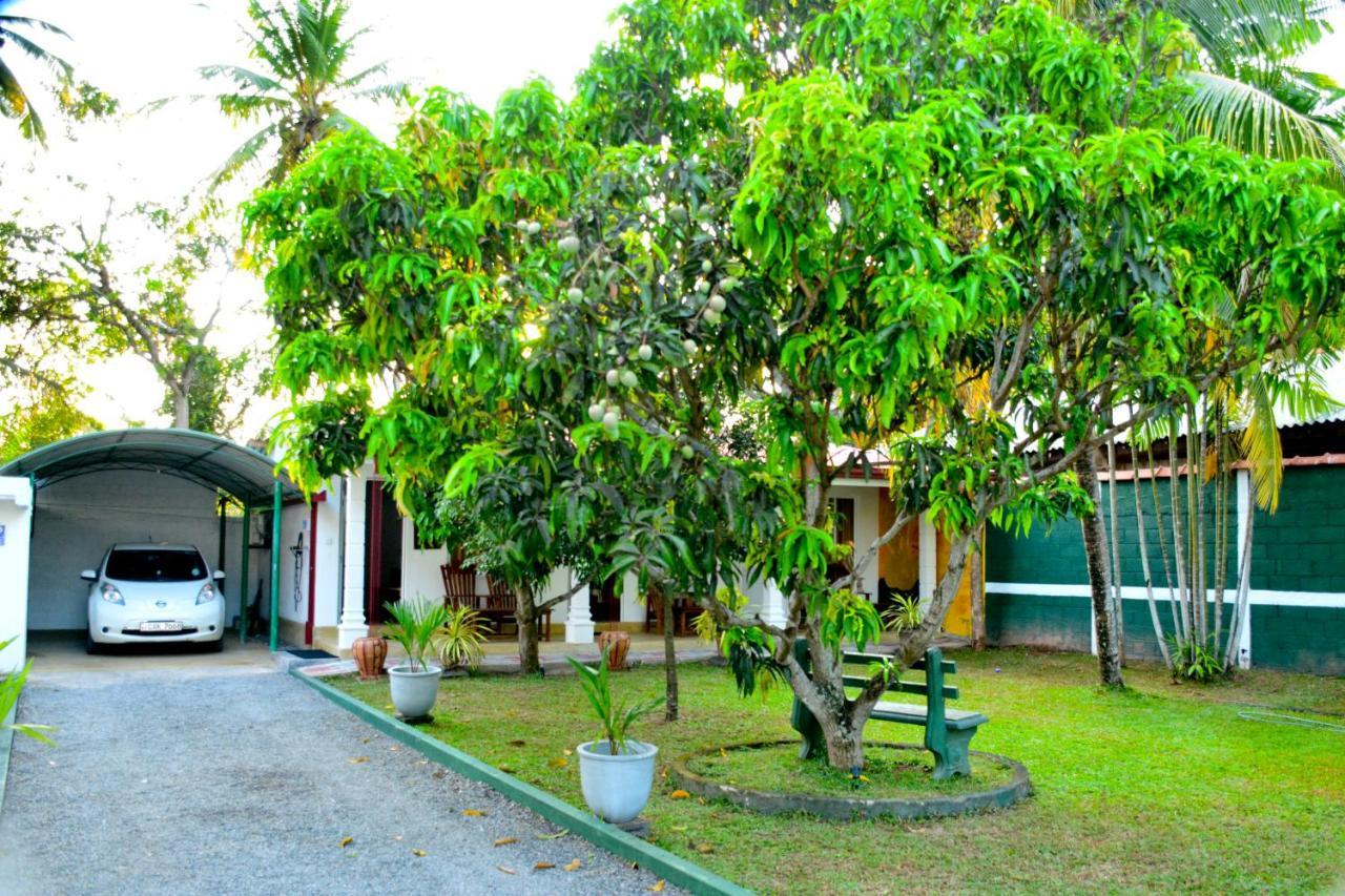 Negombo Village Guesthouse Exteriér fotografie